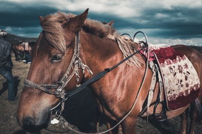 Horse cart against sky