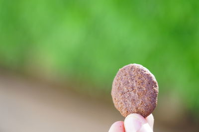 Close-up of hand holding ice cream