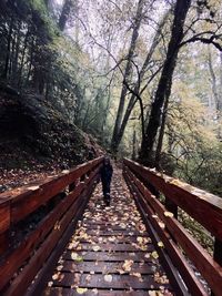 Rear view of woman walking on footbridge in forest