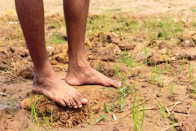 Low section of man standing on ground