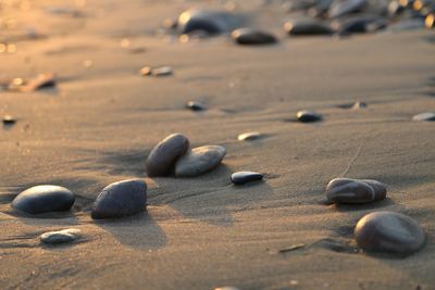 Close-up of stones on sand