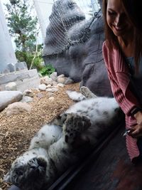 High angle view of woman standing by snow leopard at zoo
