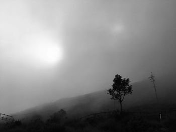 Silhouette trees on landscape against sky