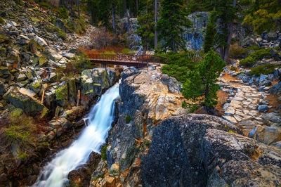 Scenic view of waterfall in forest