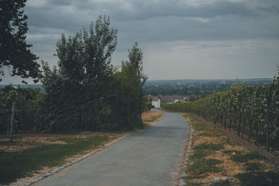 Empty road along plants and trees against sky