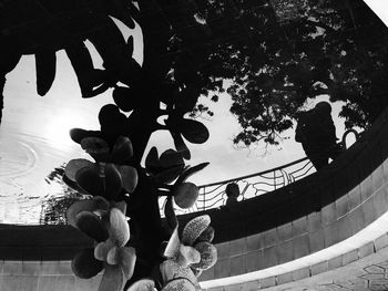 Low angle view of tree against sky