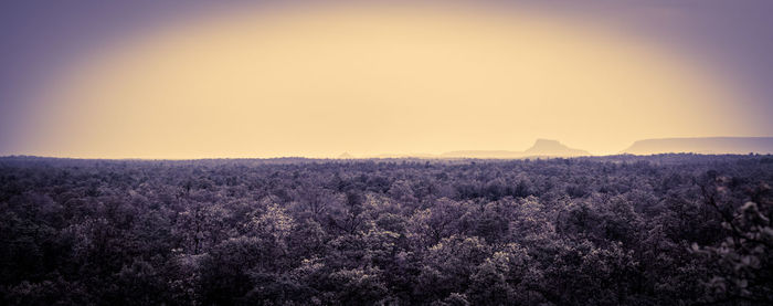 Scenic view of landscape against clear sky