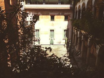 Trees and plants growing outside building