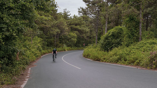 Rear view of man riding bicycle on road