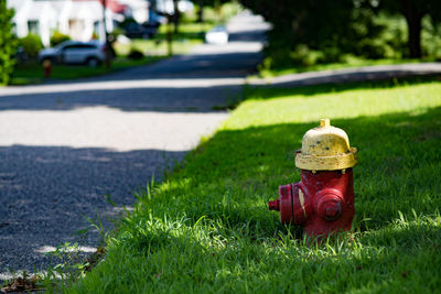 Fire hydrant on field
