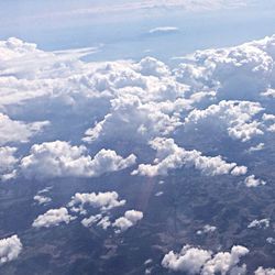 Aerial view of landscape