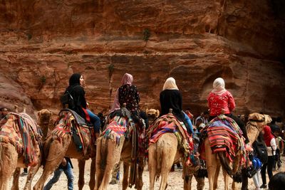 Rear view of women riding camels