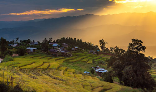 The beautiful rice terraces are located on a mountain at pong piang village, chiang mai province.