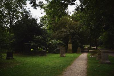 Trees in cemetery