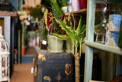 Close-up of glass for sale at market stall