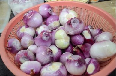 Close-up of vegetables in bowl