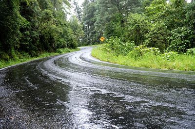 Road passing through forest