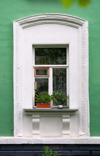 Potted plant on window of building. white window on the a green wall. bright facade 