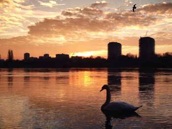 Scenic view of lake at sunset