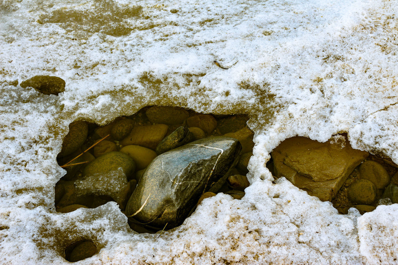 nature, rock, snow, no people, land, leaf, winter, water, high angle view, day, sand, beach, outdoors, wildlife, beauty in nature