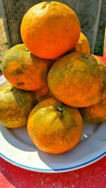 High angle view of oranges on table