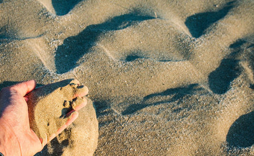 Cropped hand of man holding sand at beach