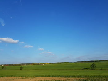 Scenic view of agricultural field against blue sky