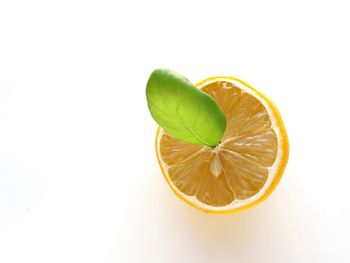 Close-up of lemon slice against white background