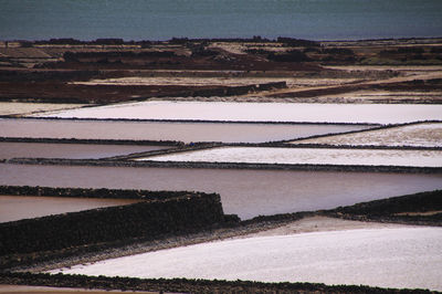 Scenic view of agricultural field