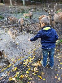 Rear view of boy standing outdoors