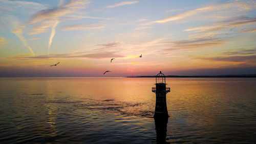 Silhouette birds flying over sea against sky during sunset