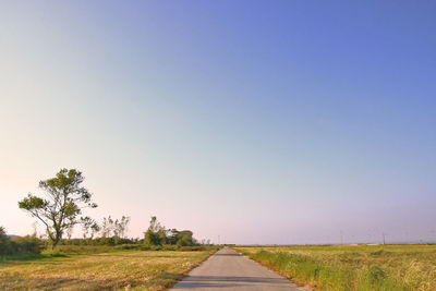 Road passing through field