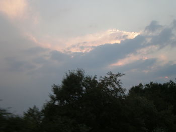 Low angle view of trees against cloudy sky