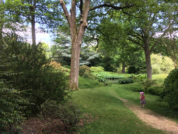 Man riding bicycle on grass