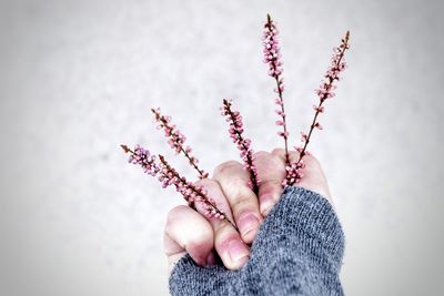 Close-up of woman hand holding flowers