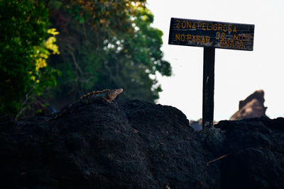 Close-up of road sign