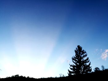 Silhouette trees against blue sky