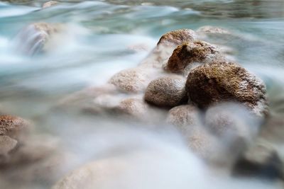 Close-up of water over white background