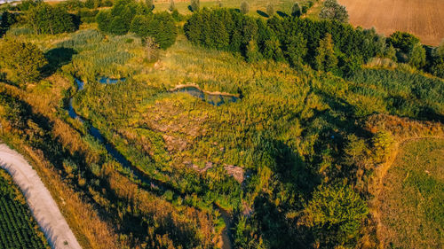 High angle view of landscape