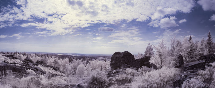 Scenic view of snow covered land against sky