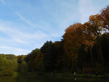 Trees on landscape against cloudy sky