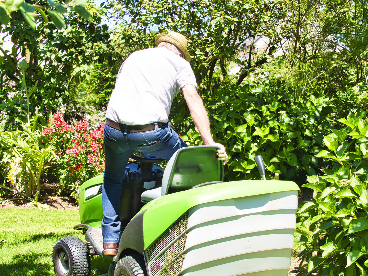 REAR VIEW OF MAN SITTING BY PLANT AGAINST TREES