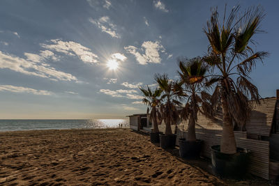 Palm trees on beach against sky during sunset