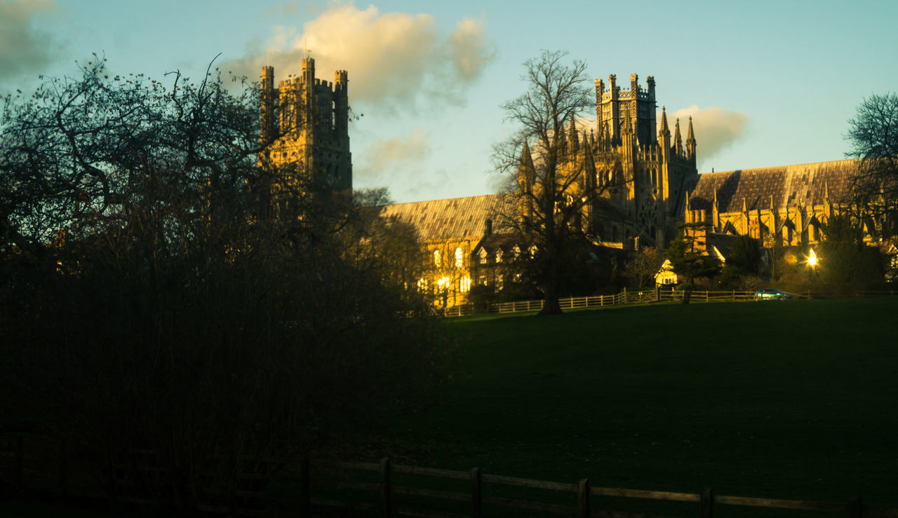 PANORAMIC VIEW OF TREES AND BUILDINGS AGAINST SKY