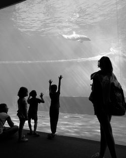 People looking at dolphins swimming in aquarium