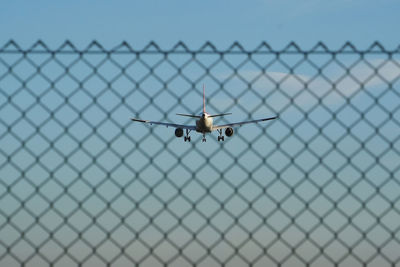 Close-up of airplane on chainlink fence against clear blue sky