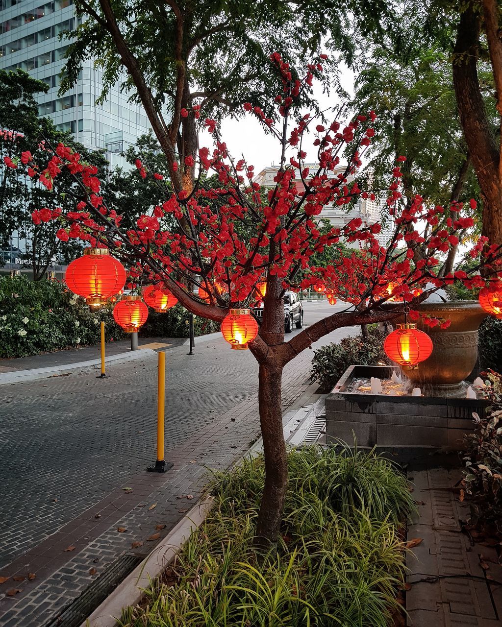 plant, tree, growth, nature, no people, orange color, flowering plant, architecture, flower, freshness, outdoors, beauty in nature, day, built structure, footpath, branch, tree trunk, lighting equipment, trunk, park