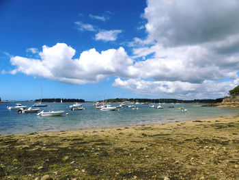 Sailboats moored in sea against sky