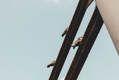 Low angle view of crane against clear sky