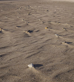 High angle view of footprints on sand